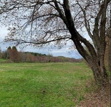 Warren-Pohl Reservation