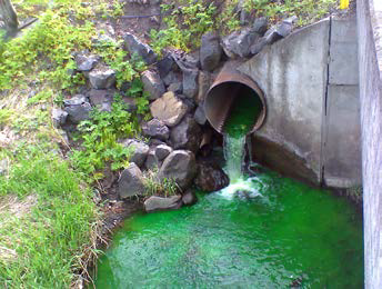 Pullman Dye Test Pipe