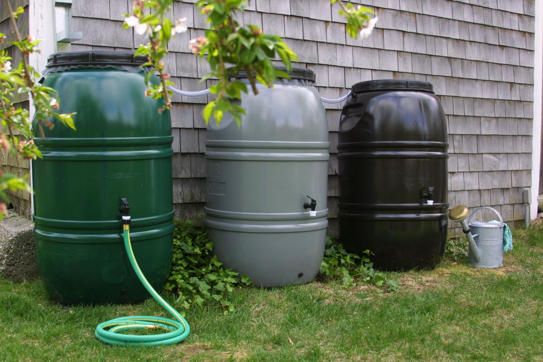 rain barrels 2