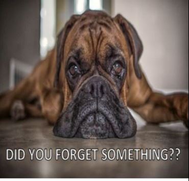 Did you forget something